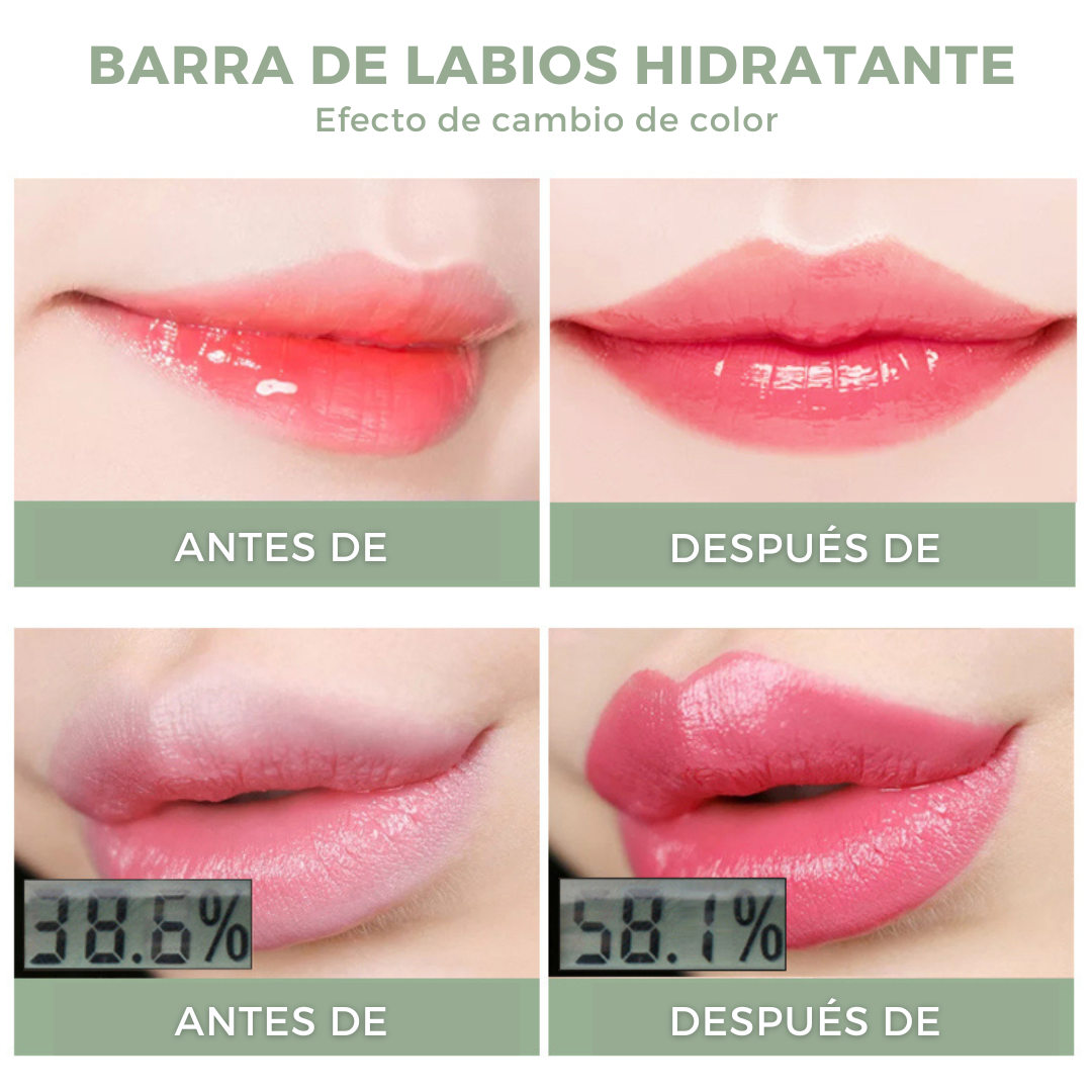 Barra de Labios Hidratante💄