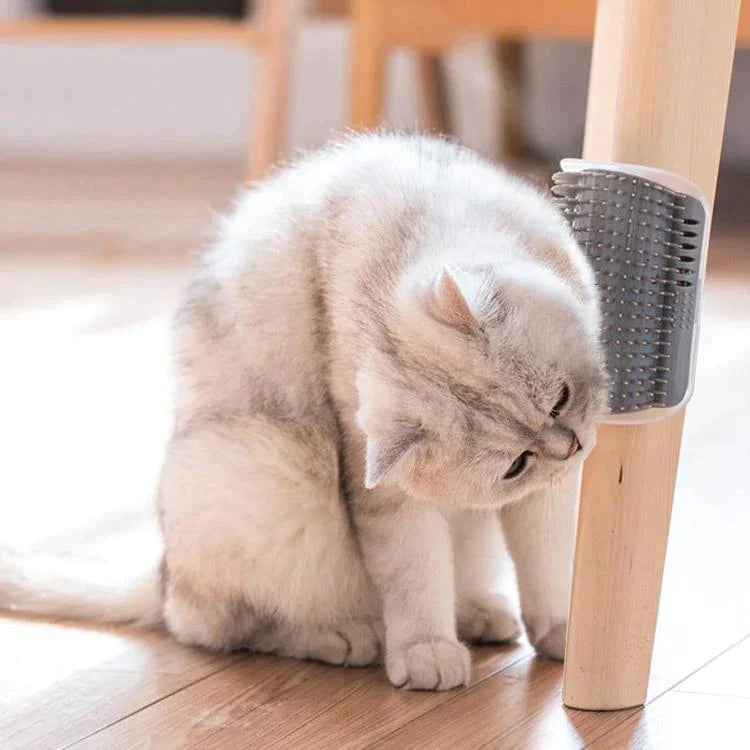 Mascota Cepillo Autolimpiante🐈